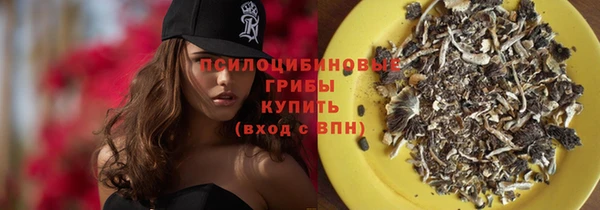 mdpv Надым