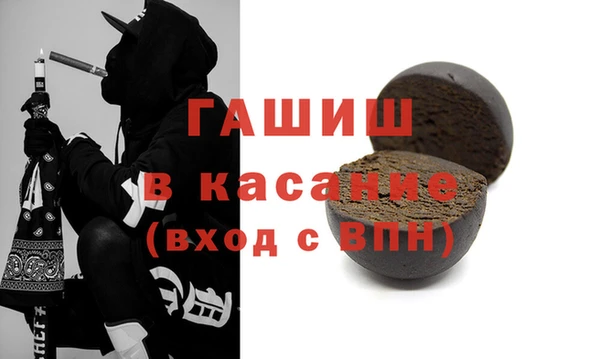 прущие грибы Сясьстрой