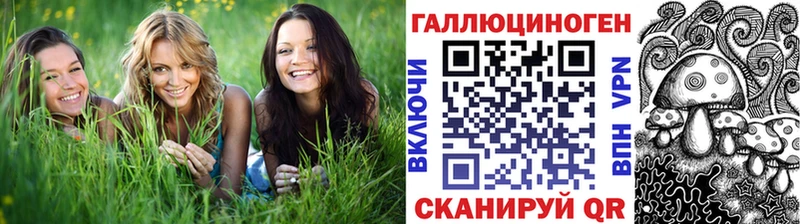 Псилоцибиновые грибы Cubensis Лысково