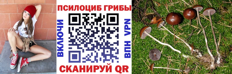 купить наркотик Лысково Псилоцибиновые грибы GOLDEN TEACHER